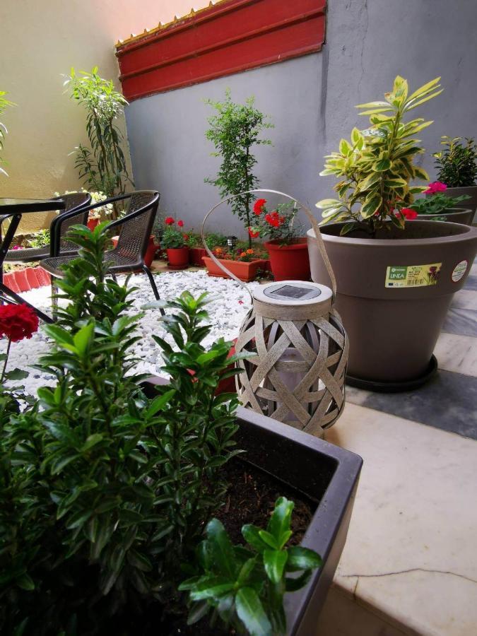 Hermes Modern Apartment أليكسانثيربوليس المظهر الخارجي الصورة