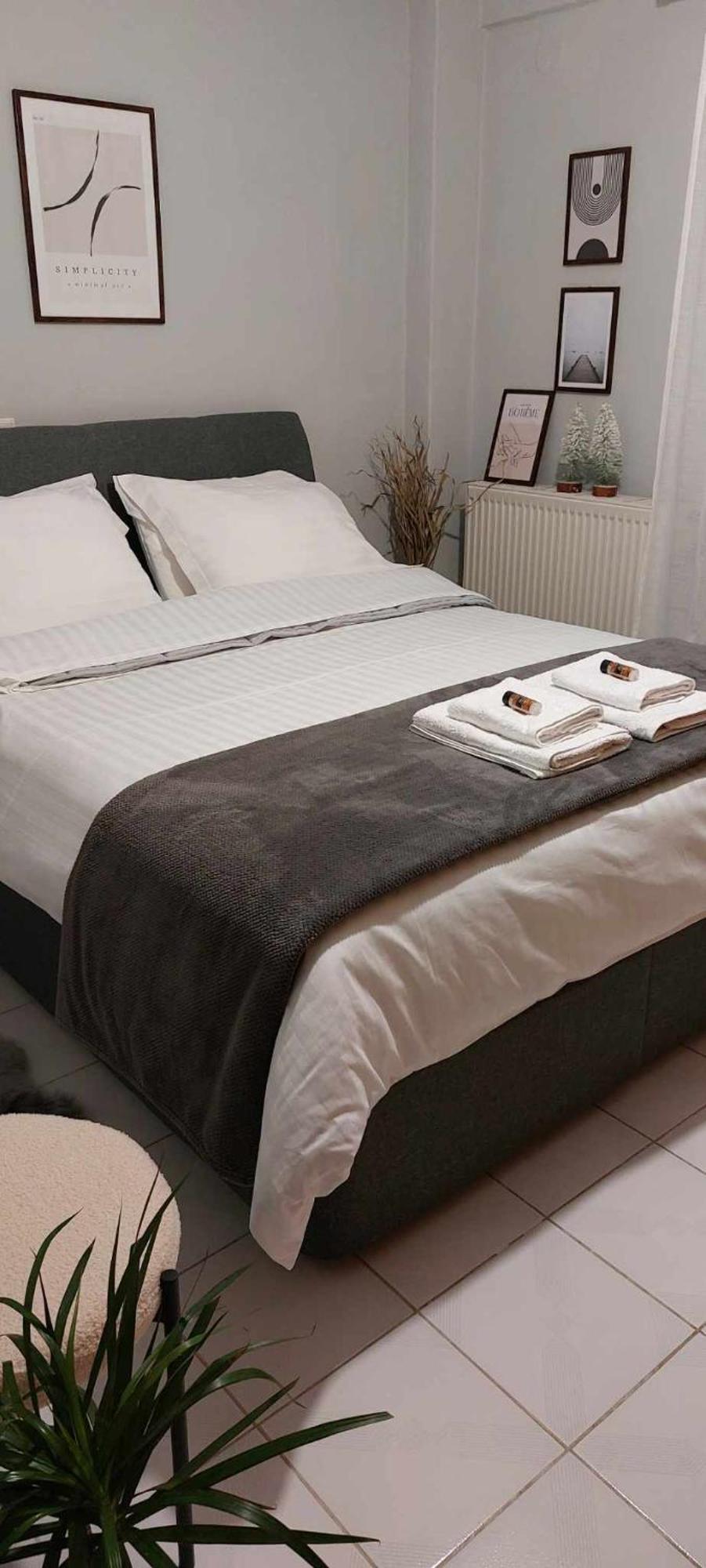 Hermes Modern Apartment أليكسانثيربوليس المظهر الخارجي الصورة