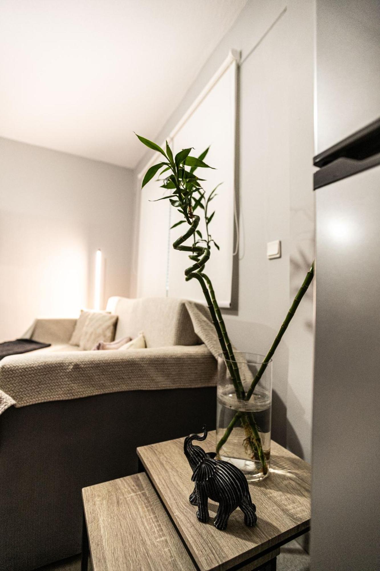 Hermes Modern Apartment أليكسانثيربوليس المظهر الخارجي الصورة